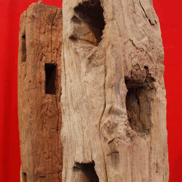 Buffalo Wood